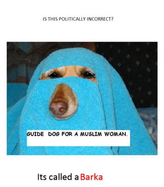 post-3004-0-93006000-1382781318_thumb.jp