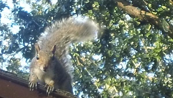 post-3346-0-19382500-1380850387_thumb.jp