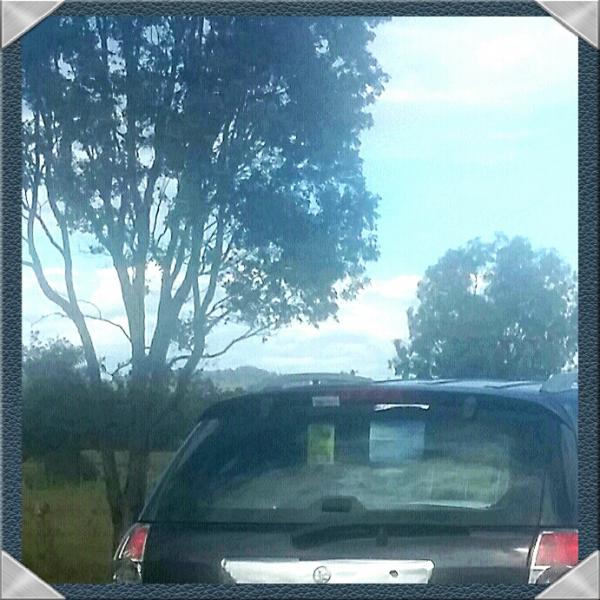 post-1015-0-73166400-1413319354_thumb.jp