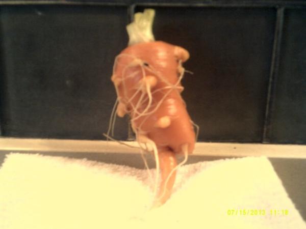 post-1083-0-73952200-1413774078_thumb.jp