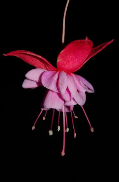 post-1971-0-03361700-1412954222_thumb.jp