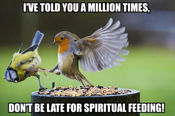 post-4555-0-52162400-1413887182_thumb.jp