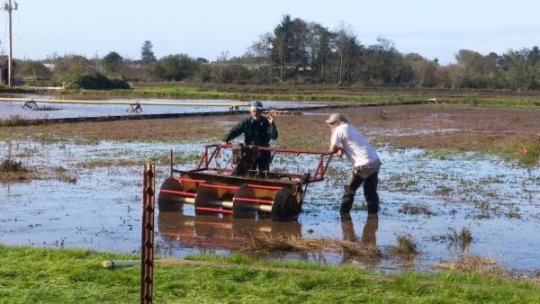 post-1083-0-02014000-1445895890_thumb.jp