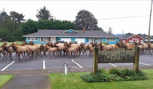 post-1083-0-06548300-1446328265_thumb.jp