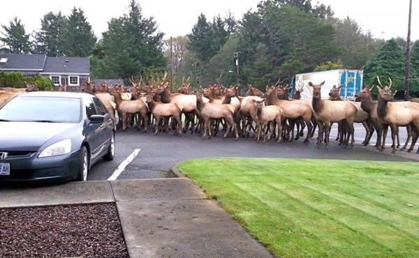 post-1083-0-08542100-1446328274_thumb.jp