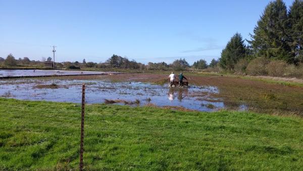 post-1083-0-24374600-1445895734_thumb.jp