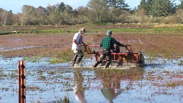 post-1083-0-99441900-1445895806_thumb.jp