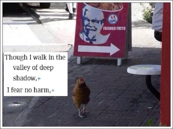 post-3233-0-49692200-1444946809_thumb.jp