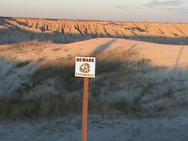 post-5252-0-07630600-1444943060_thumb.jp