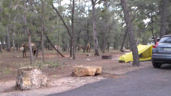 post-5252-0-33821000-1445279632_thumb.jp