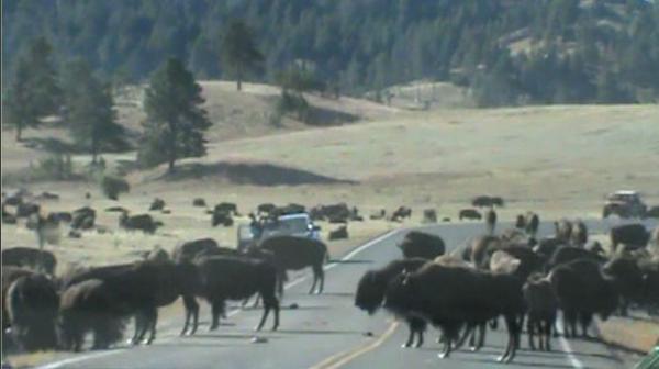 post-5252-0-48155900-1444841836_thumb.jp