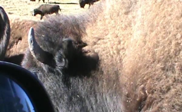 post-5252-0-55083700-1444842053_thumb.jp