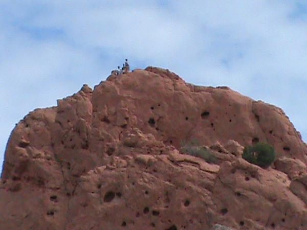 post-5252-0-64418900-1445172167_thumb.jp