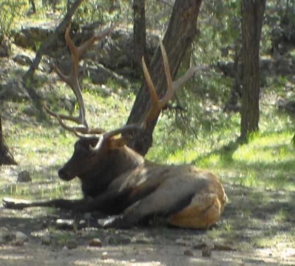 post-5252-0-71227300-1445279730_thumb.jp