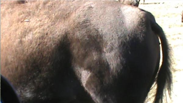 post-5252-0-77193800-1444841808_thumb.jp