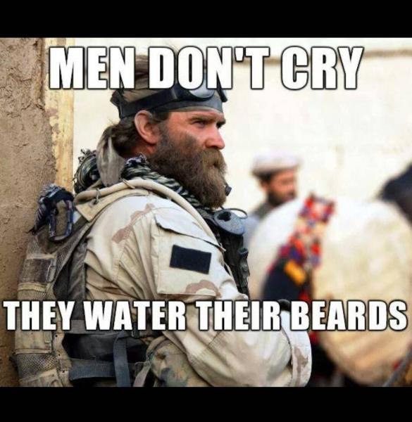 post-5252-0-78201300-1445821421_thumb.jp