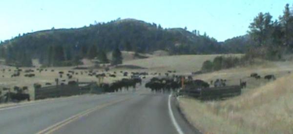 post-5252-0-95736300-1444841835_thumb.jp