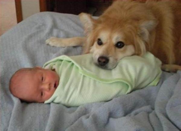 post-1117-0-86144900-1384189298_thumb.jp