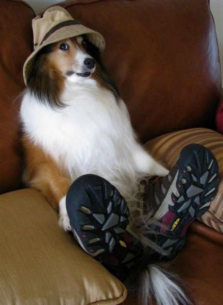 post-1418-0-89308500-1383793682_thumb.jp