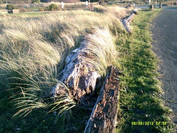 post-1083-0-30526500-1415845878_thumb.jp