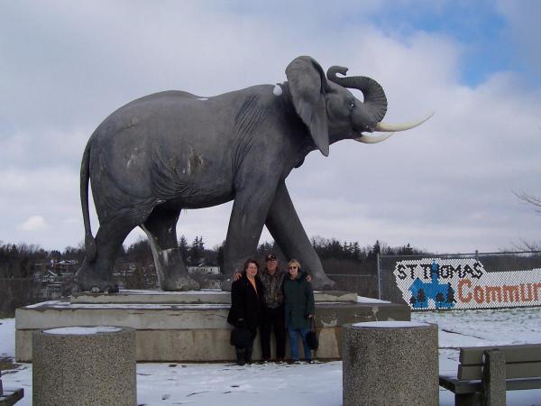 post-1418-0-29899900-1414856632_thumb.jp