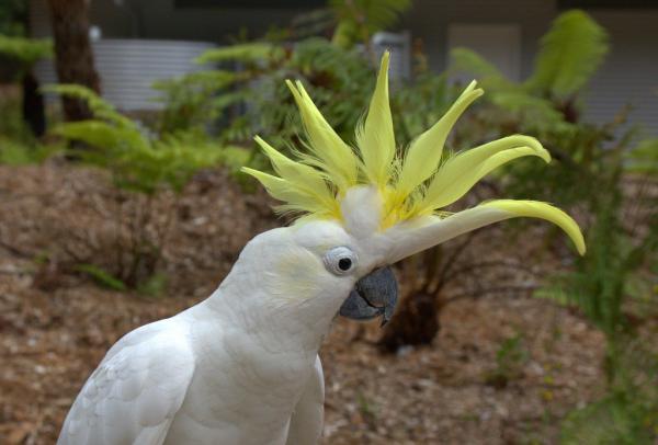 post-4085-0-26525900-1414814819_thumb.jp