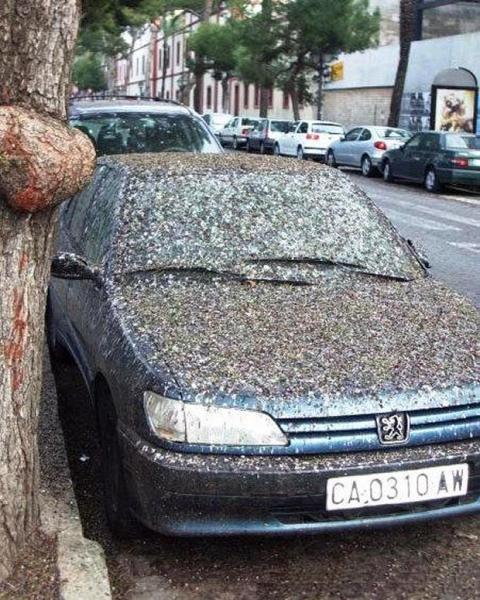 post-5252-0-71374700-1417311549_thumb.jp