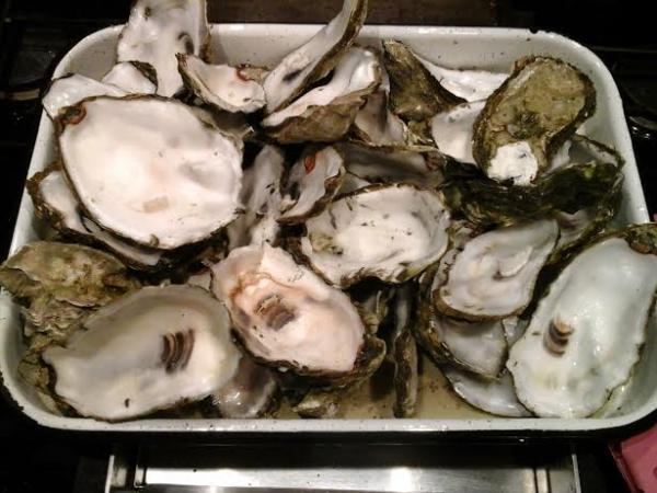 post-1083-0-51459900-1447029228_thumb.jp