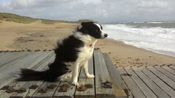 post-1083-0-81756200-1447556006_thumb.jp