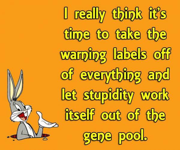 post-1083-0-82143000-1447372036_thumb.jp