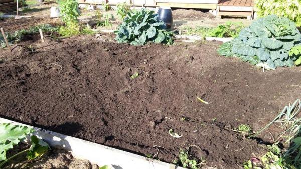 post-1083-0-94292600-1446671912_thumb.jp