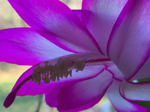 post-5247-0-69963700-1447692392_thumb.jp