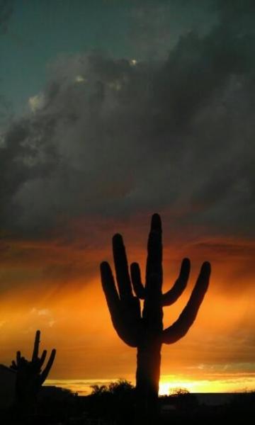 post-5984-0-00324500-1448556287_thumb.jp