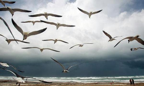 post-2322-0-09143700-1388113936_thumb.jp