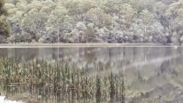 post-1015-0-13625300-1419938624_thumb.jp