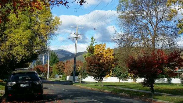 post-1015-0-19170800-1420026729_thumb.jp