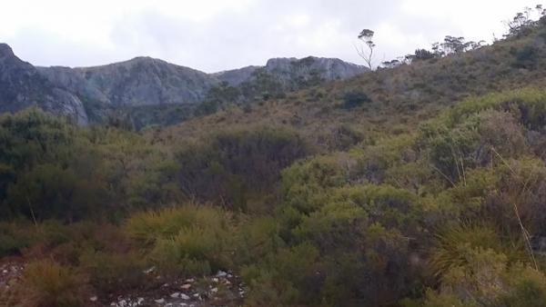 post-1015-0-30234400-1420025948_thumb.jp