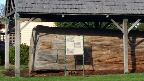 post-1015-0-37910500-1420026018_thumb.jp