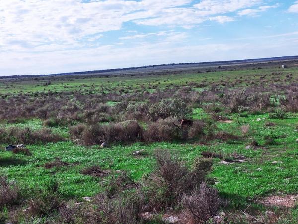 post-1015-0-38632400-1419942981_thumb.jp