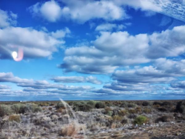 post-1015-0-47477400-1419943294_thumb.jp