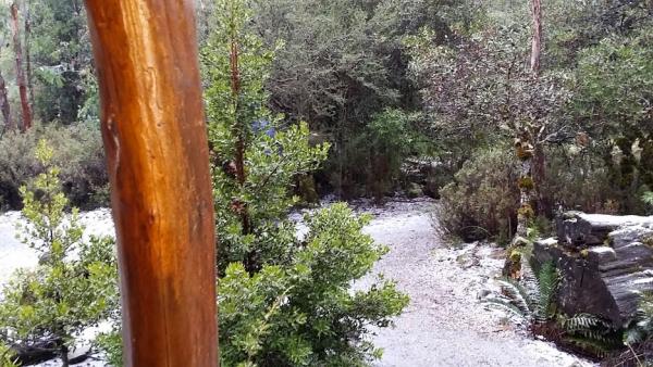 post-1015-0-63075500-1420025909_thumb.jp