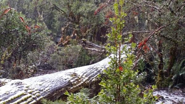 post-1015-0-63849000-1420025898_thumb.jp