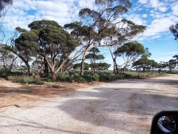 post-1015-0-77258700-1419943066_thumb.jp