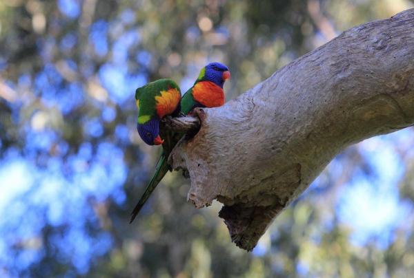 post-4085-0-25828400-1419332168_thumb.jp