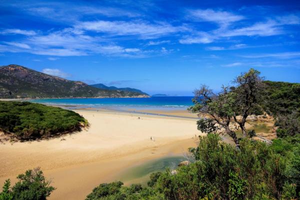 post-4085-0-25850900-1419932441_thumb.jp