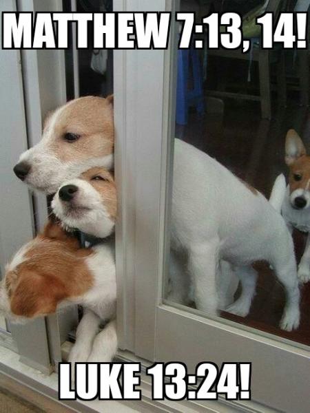 post-4555-0-08470900-1418728618_thumb.jp