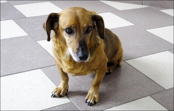 post-5044-0-61404200-1419641359_thumb.jp