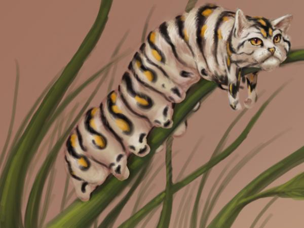 post-1993-0-24108500-1449121220_thumb.jp