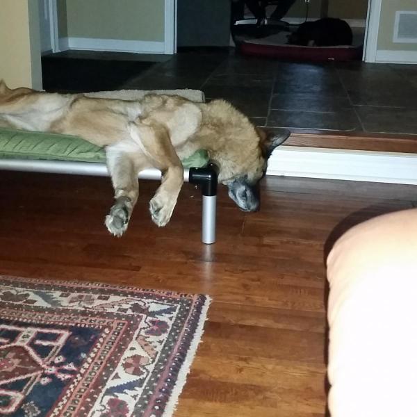 post-3423-0-29861600-1448933325_thumb.jp