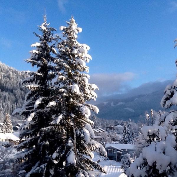 post-3603-0-80587100-1451200796_thumb.jp